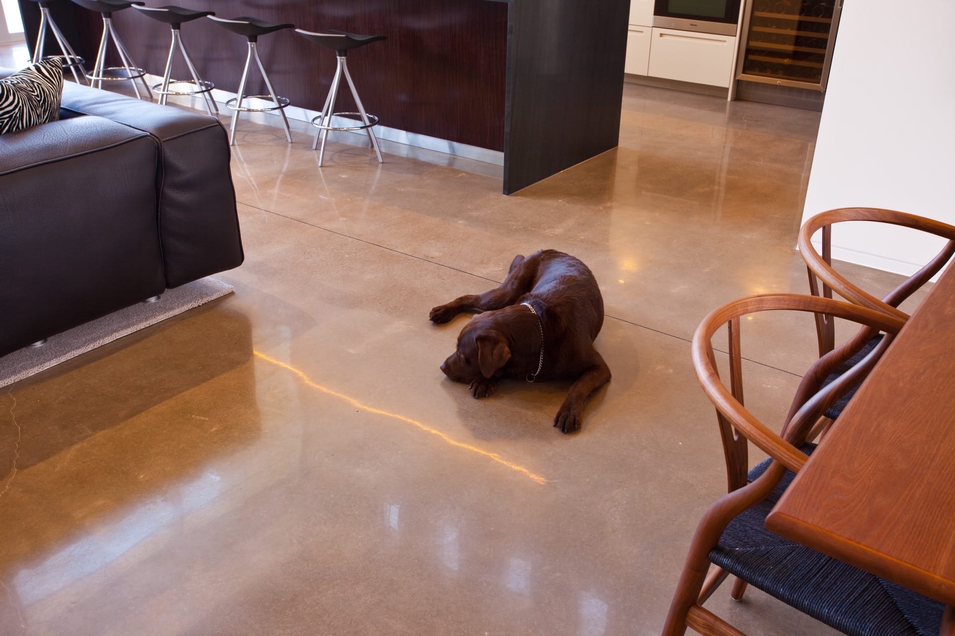 Concrete polishing for residential and commercial floors on the Sunshine Coast and Brisbane. - Honed & Polished Concrete meeting